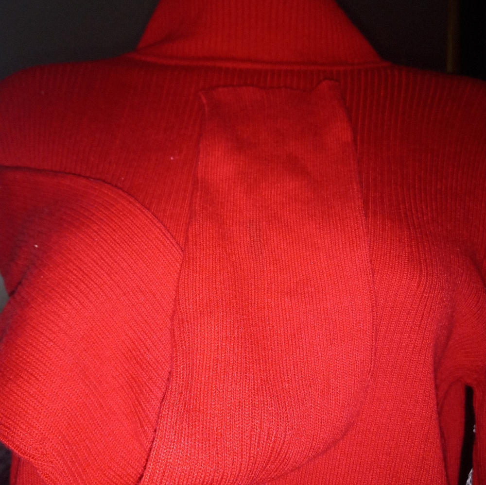 Deep Red Turtle-Neck Long sleeve